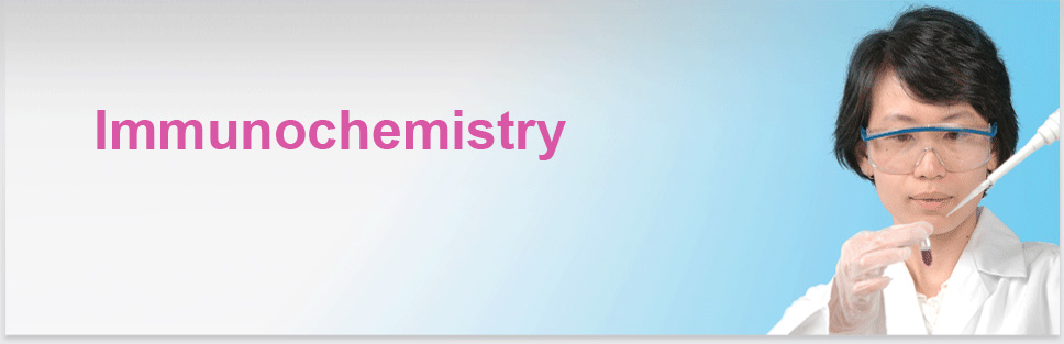 Image Header Protein Services: Immunochemistry